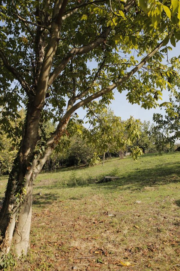 Hypnosapanca Glamping Spa Zewnętrze zdjęcie